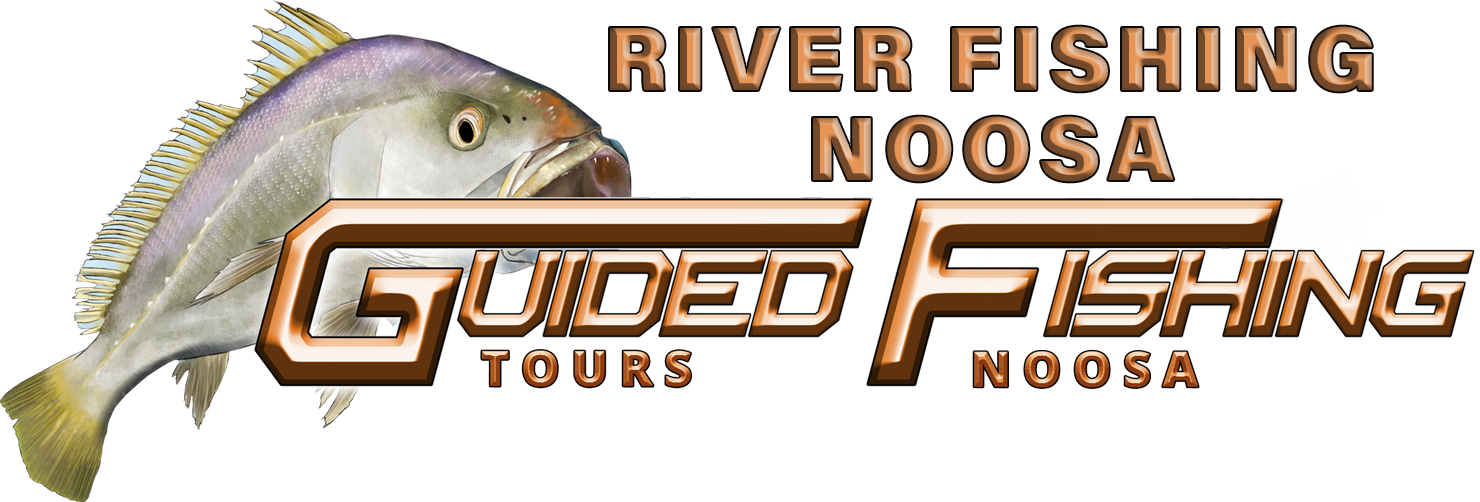 Home Temp River Fishing Noosa